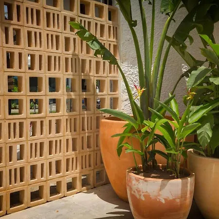 Dona Rosa Πάρκο διακοπών Πλάγια ντελ Ινγκλές