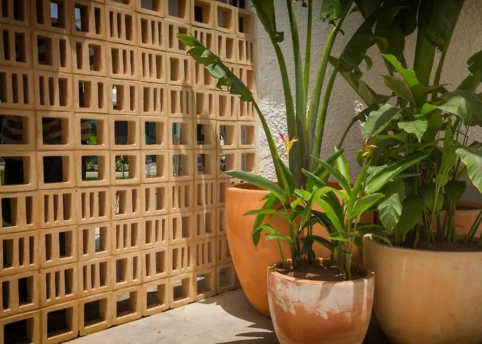 Dona Rosa Tatil parkı Playa del Ingles (Gran Canaria)